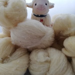 laine cardée